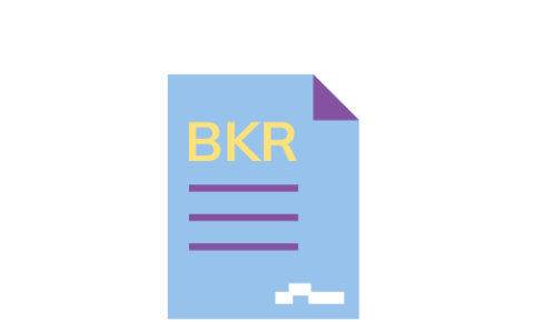 Alles over lenen met BKR-registratie: Tips en advies